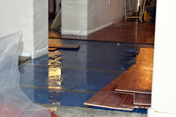 Professional Burst Pipe Cleanup technician working in Farmington, CA